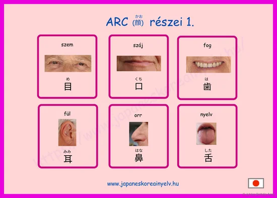 ARC részei 1