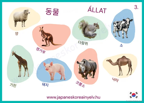 Allatok 3