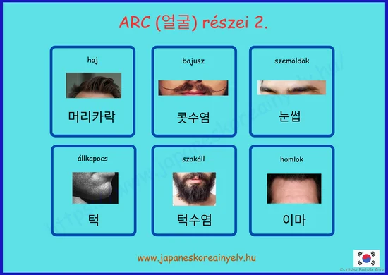 ARC részei 2